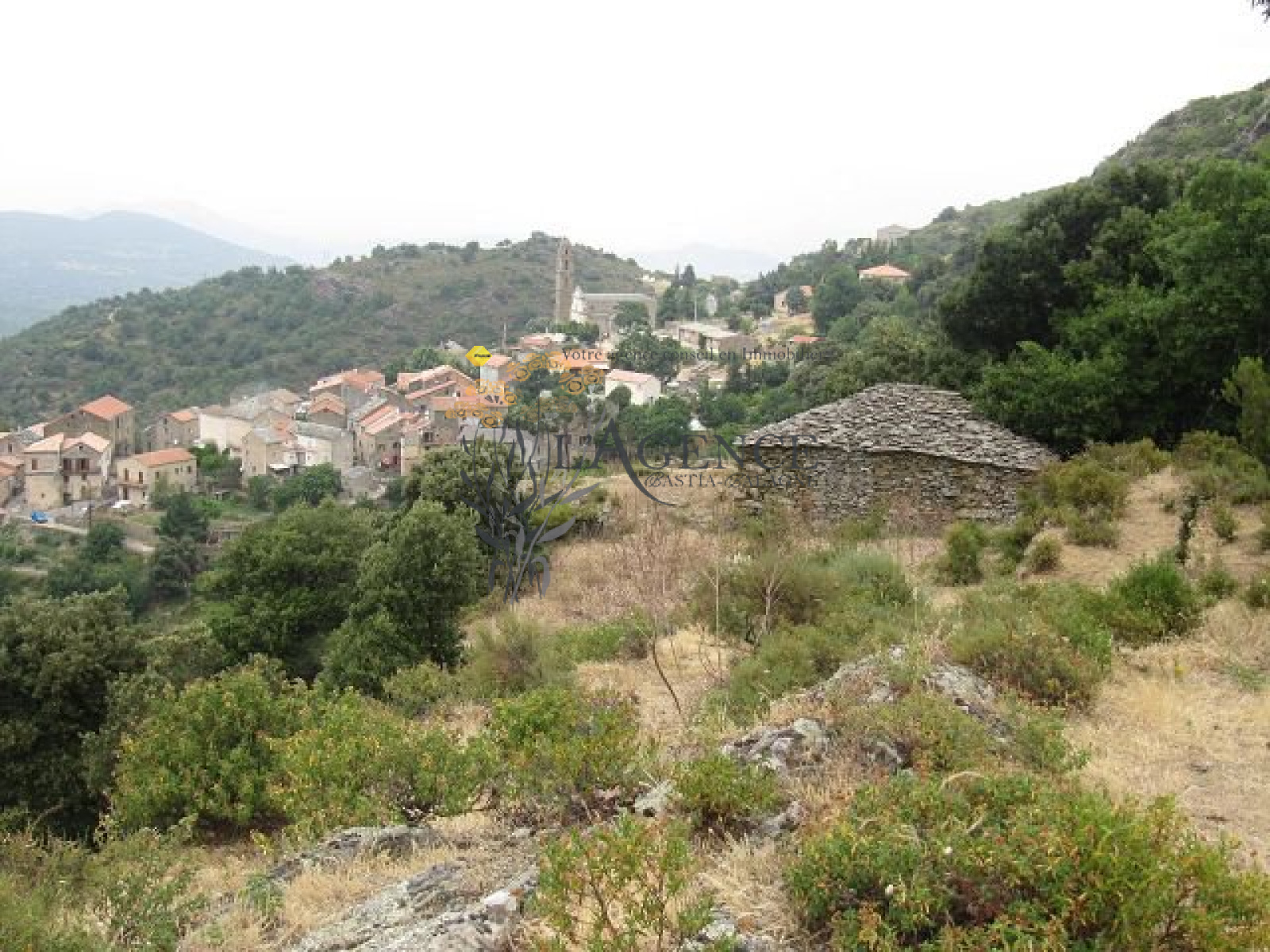 Image_, Appartement, , ref :1806146