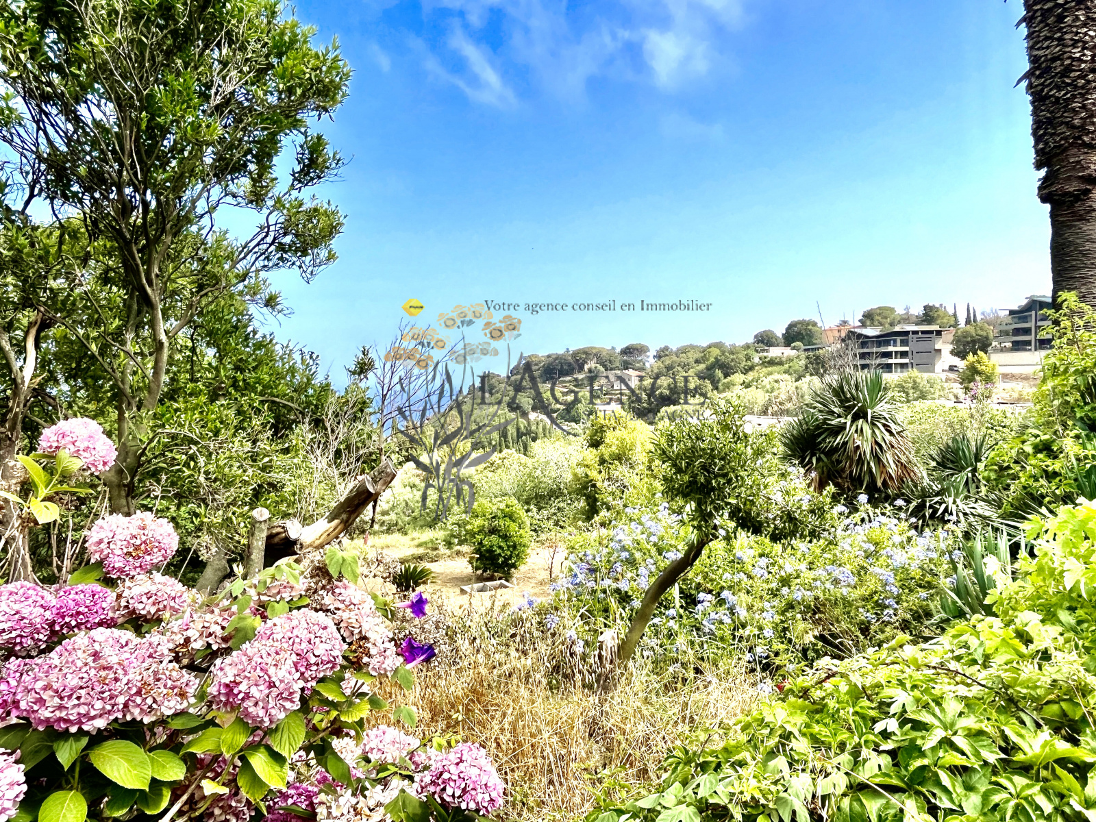 Image_, Villa, Bastia, ref :2816