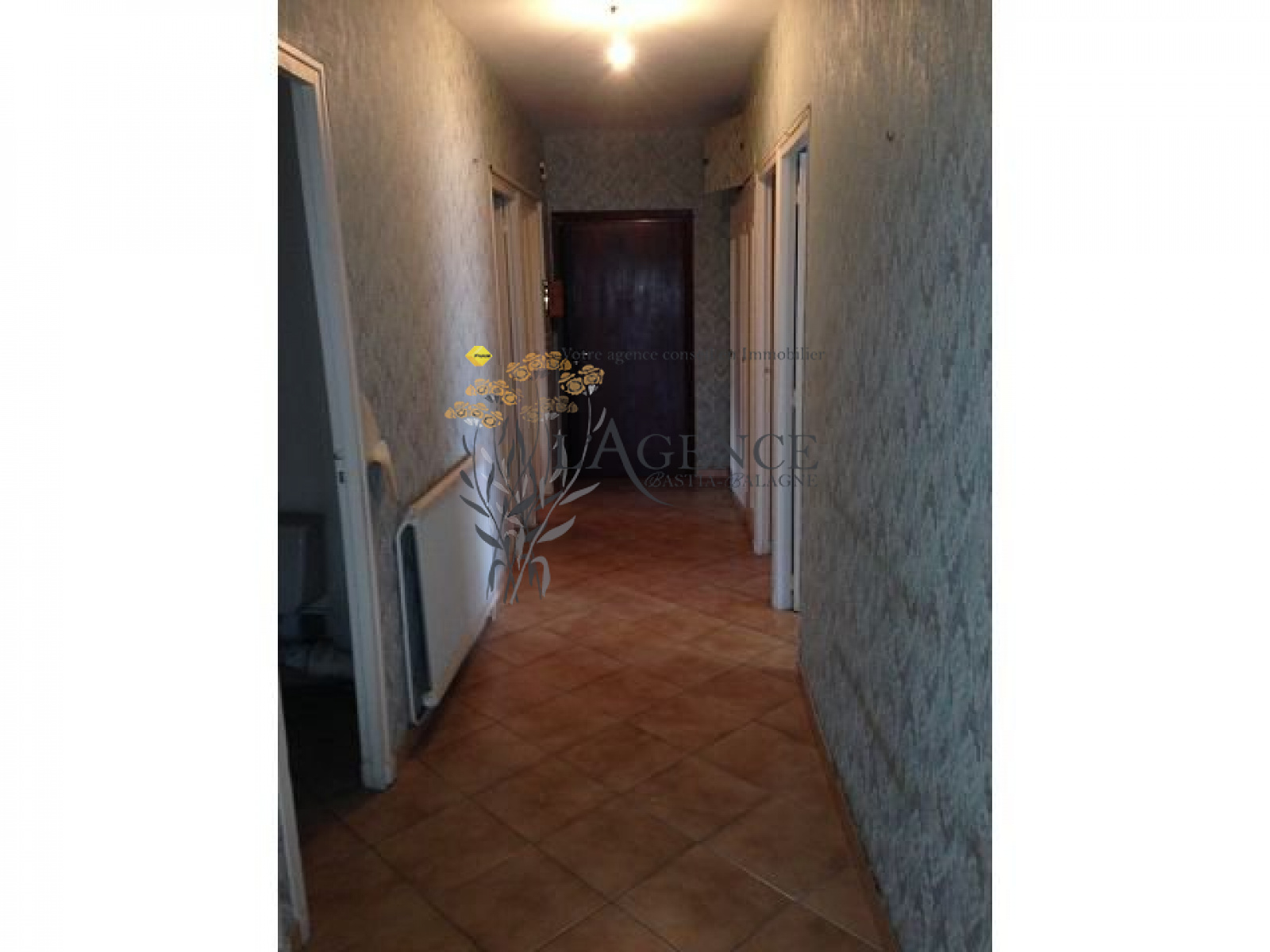 Image_, Appartement, Furiani, ref :1806066