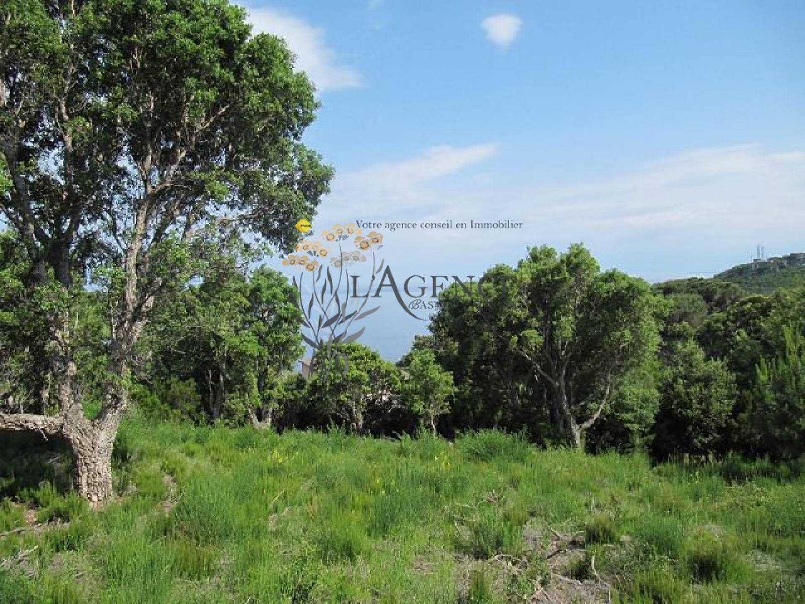Image_, Appartement, Brando, ref :1806277