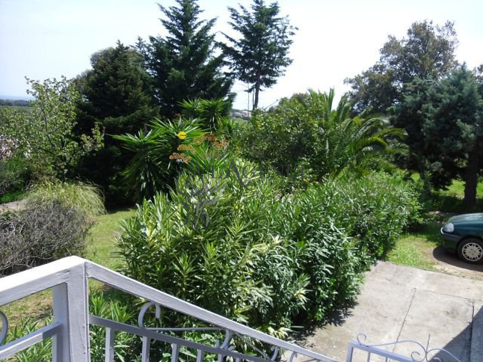Image_, Appartement, Querciolo, ref :1806176