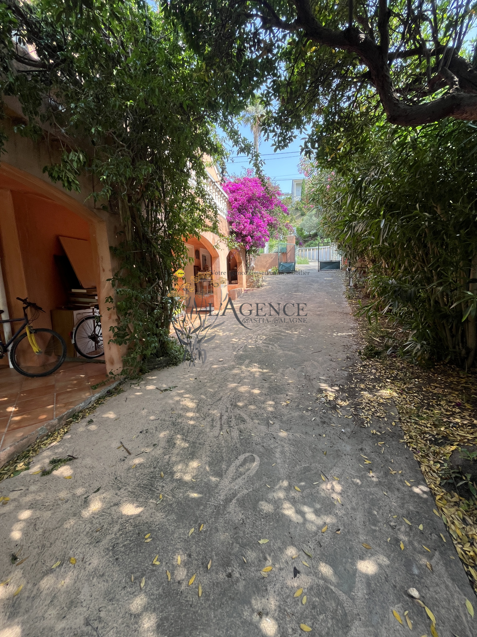 Image_, Villa, Pietracorbara, ref :3068