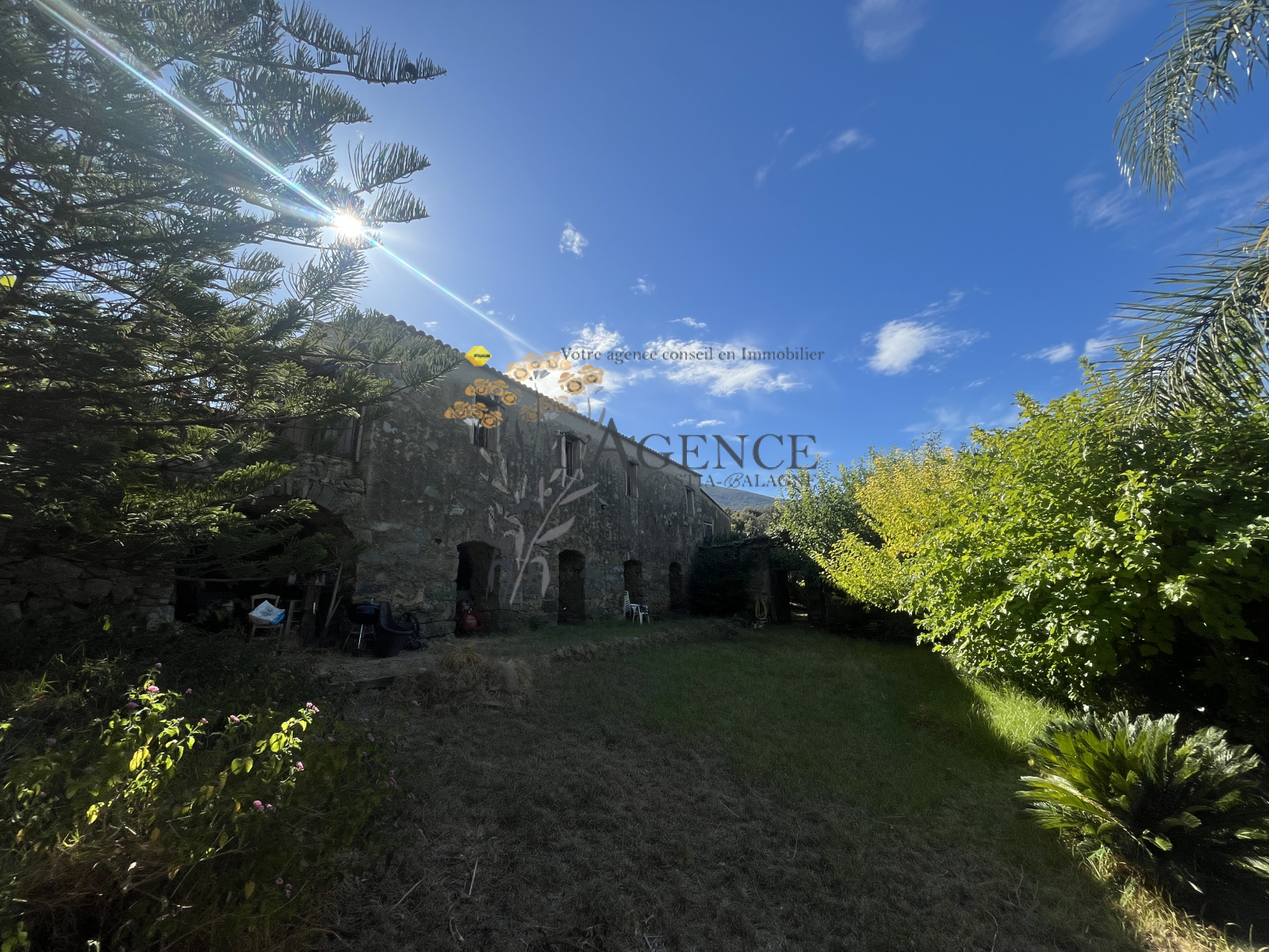 Image_, Maison, Aregno, ref :3309