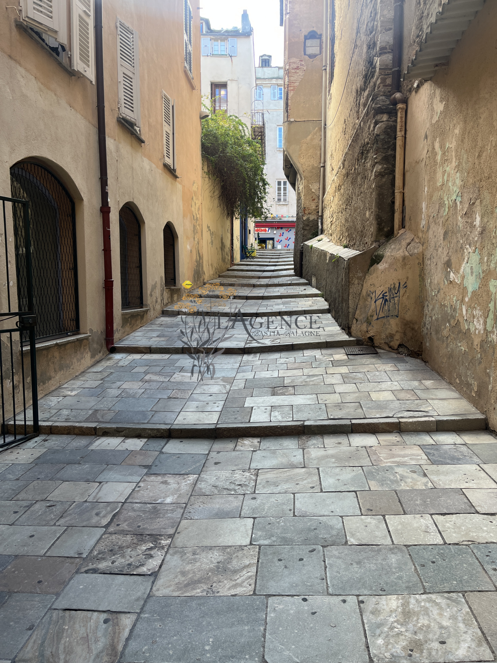 Image_, Local professionnel, Bastia, ref :0020