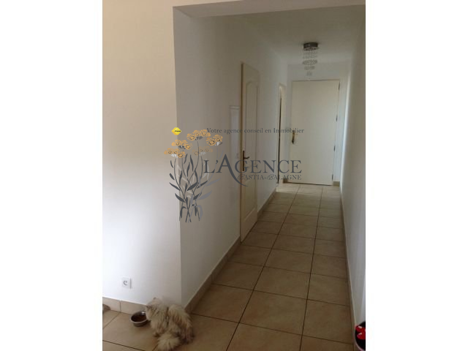 Image_, Appartement, Borgo, ref :1806122