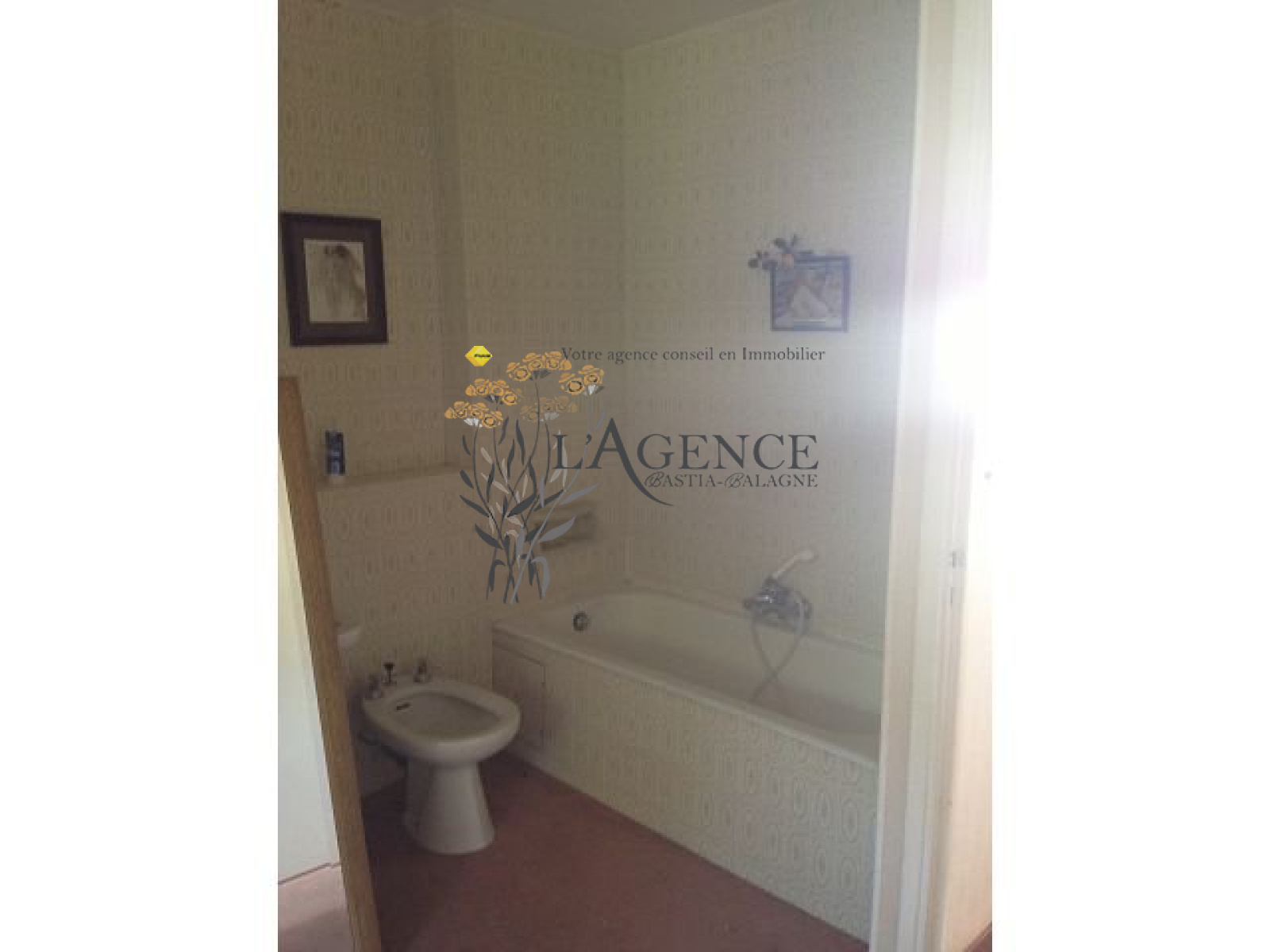 Image_, Appartement, Brando, ref :1806153