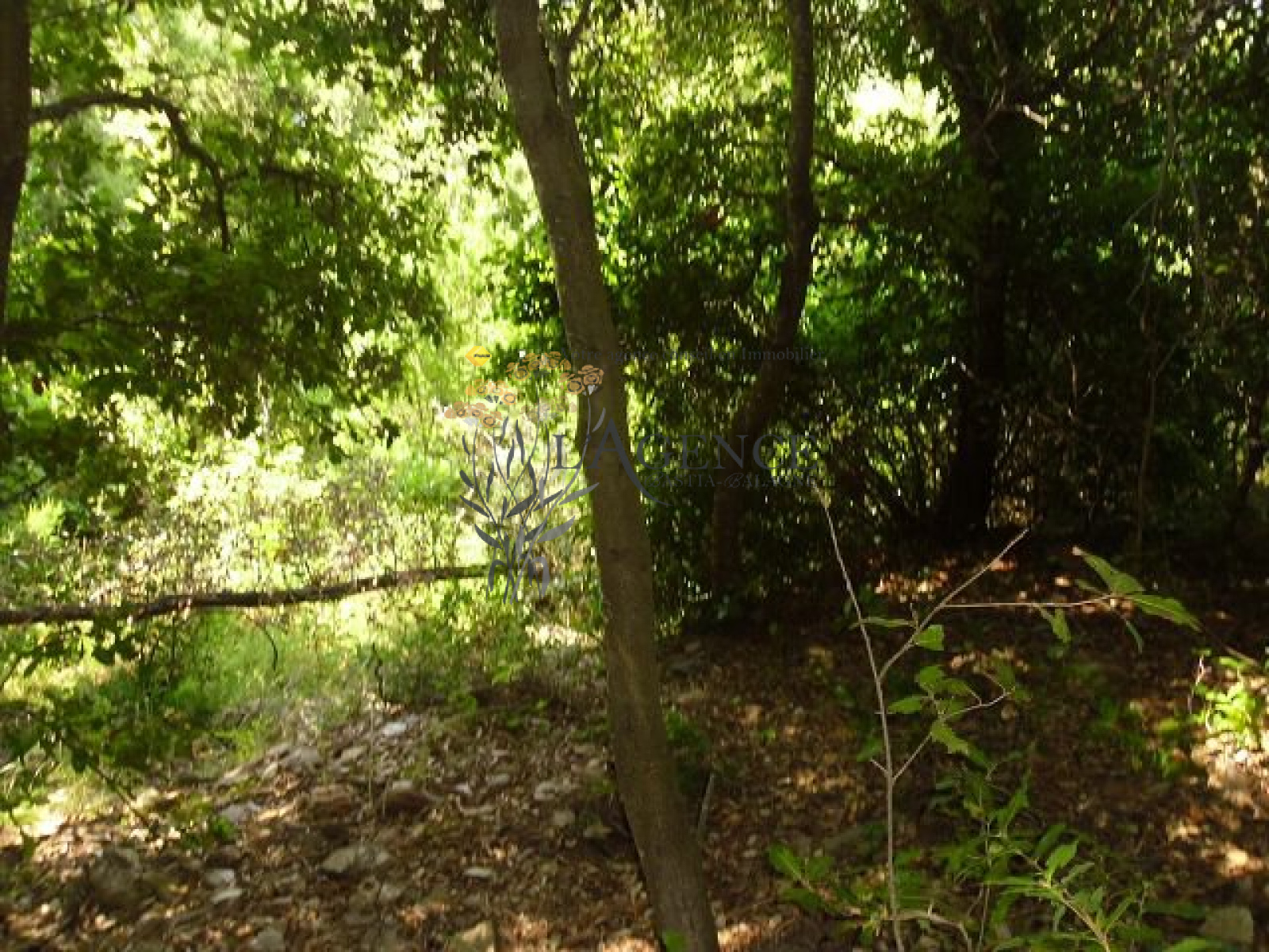 Image_, Appartement, Luri, ref :1806170