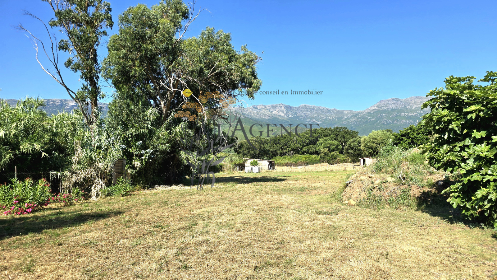 Image_, Maison, Pietracorbara, ref :3243