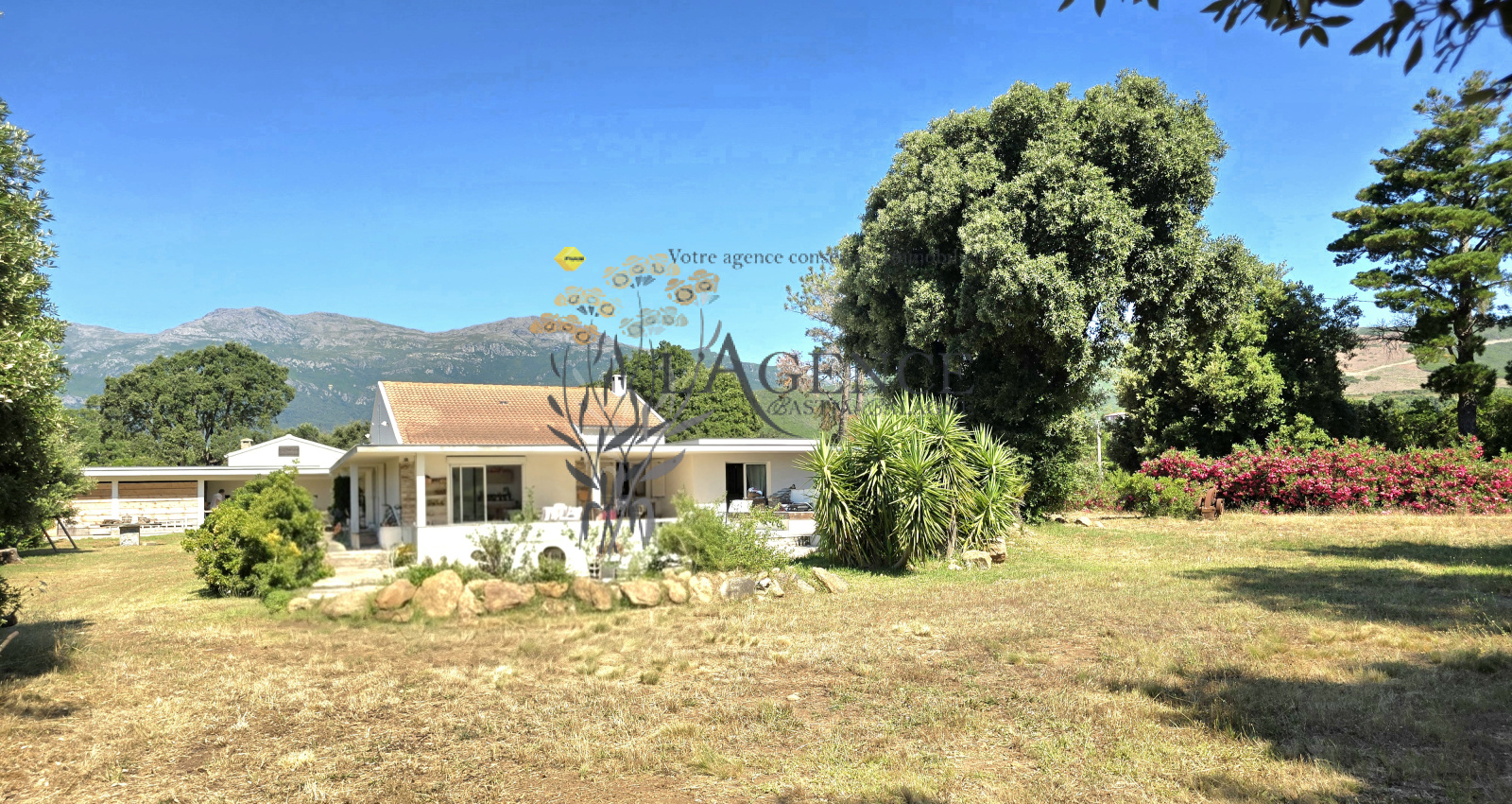 Image_, Maison, Pietracorbara, ref :3243