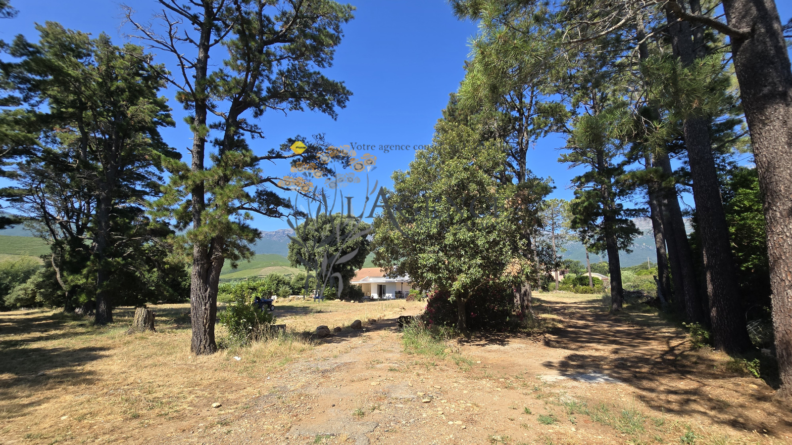 Image_, Maison, Pietracorbara, ref :3243