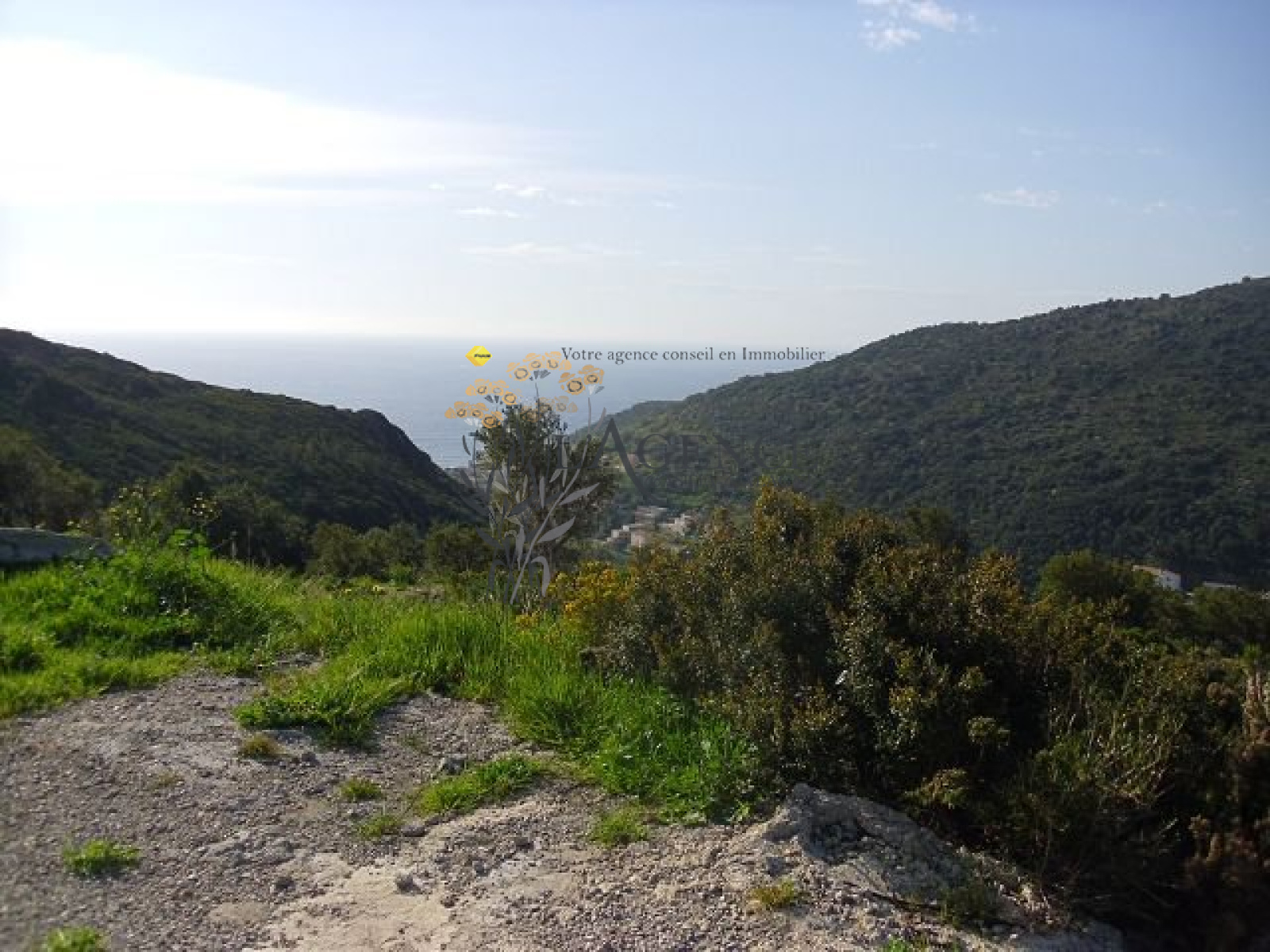 Image_, Appartement, Santa-Maria-di-Lota, ref :1806126
