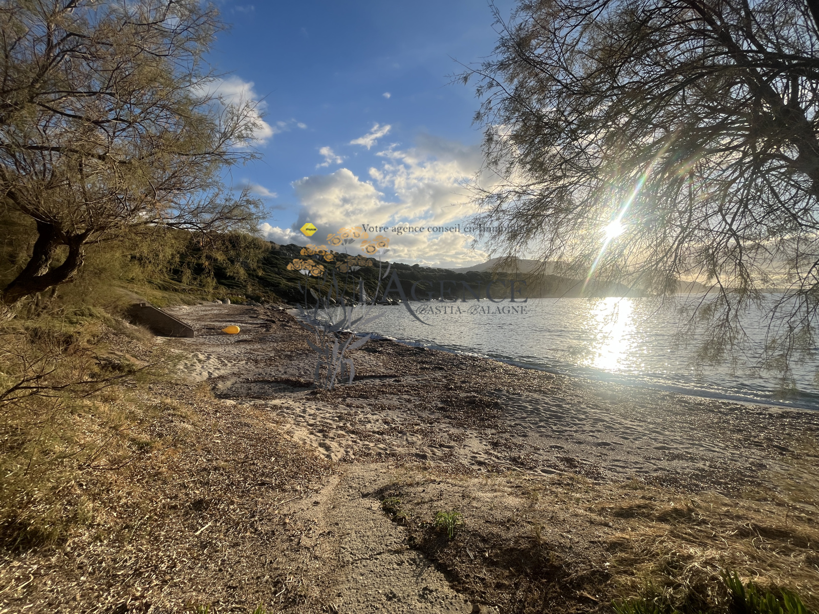 Image_, Maison, Corbara, ref :MM_11