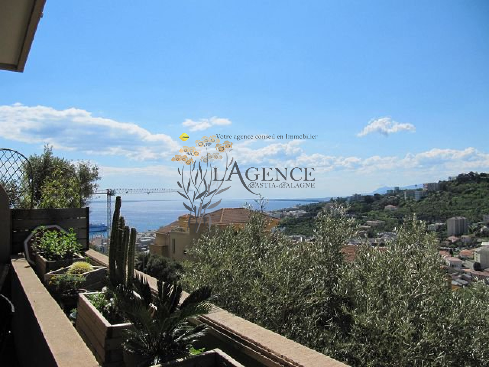 Image_, Appartement, Ville-di-Pietrabugno, ref :1806034