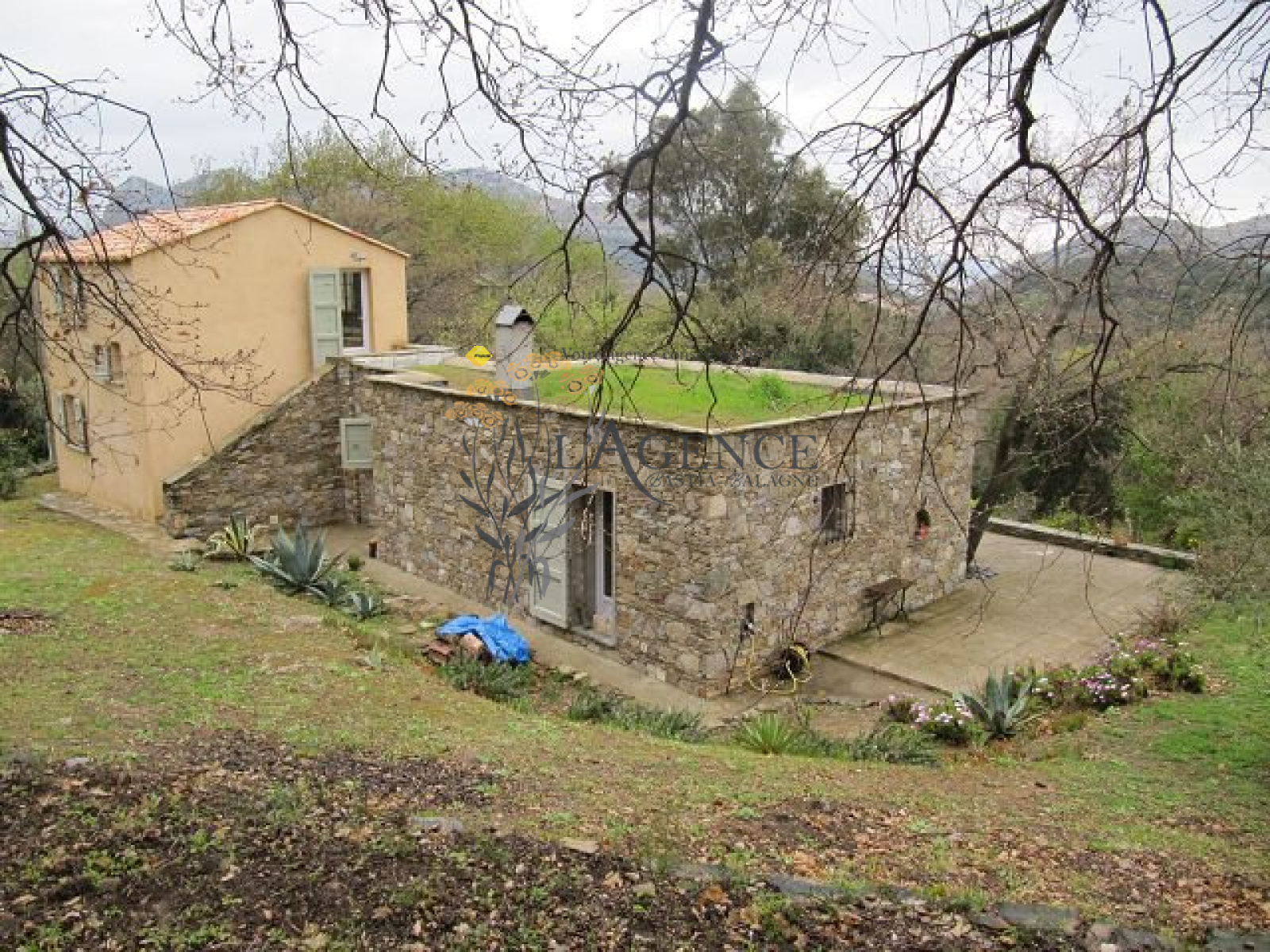 Image_, Appartement, Barbaggio, ref :1806279
