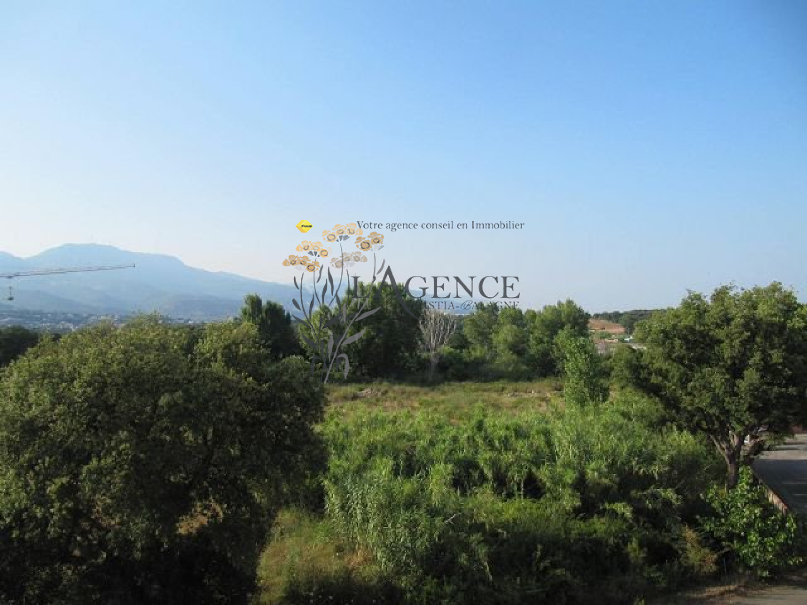 Image_, Appartement, , ref :1806420