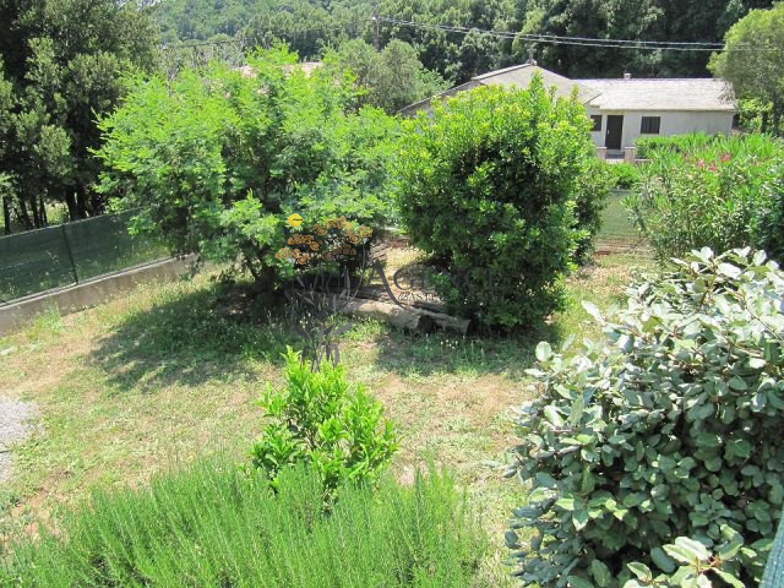 Image_, Appartement, Pietracorbara, ref :1806017