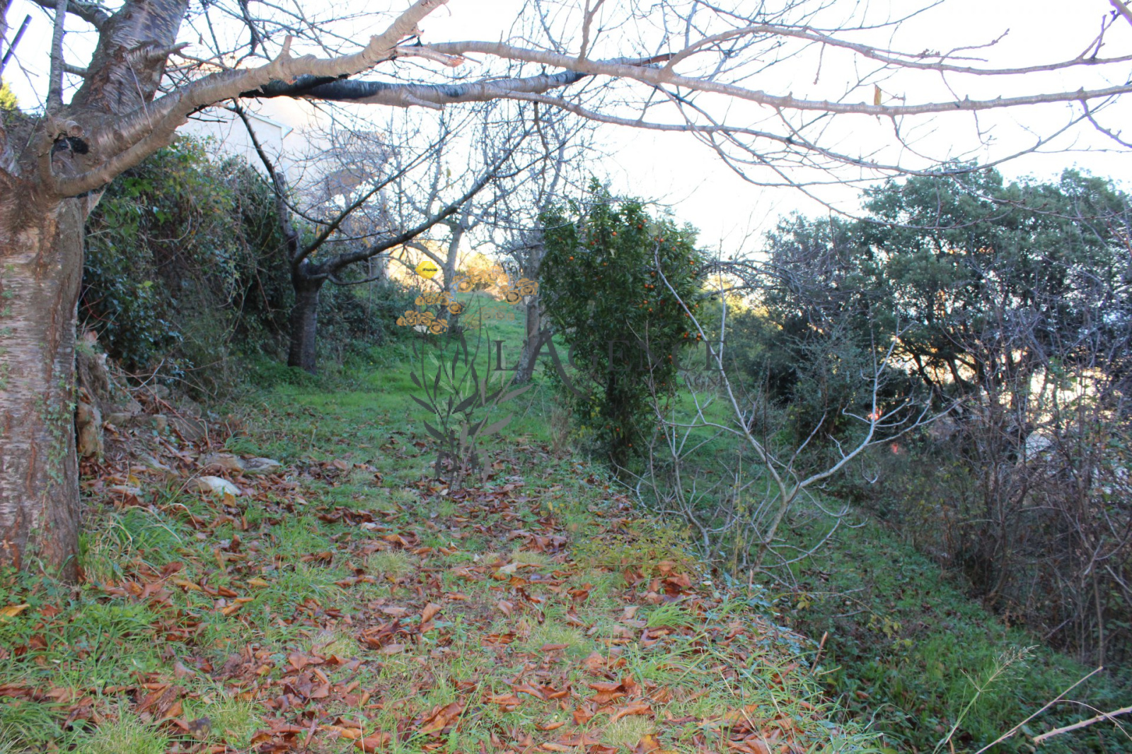 Image_, Villa, Bastia, ref :164807