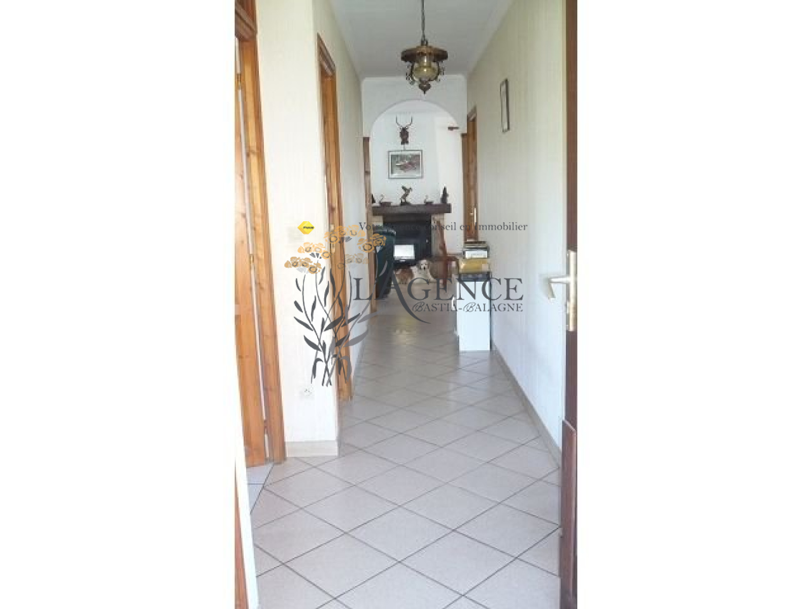 Image_, Appartement, Sisco, ref :1806375