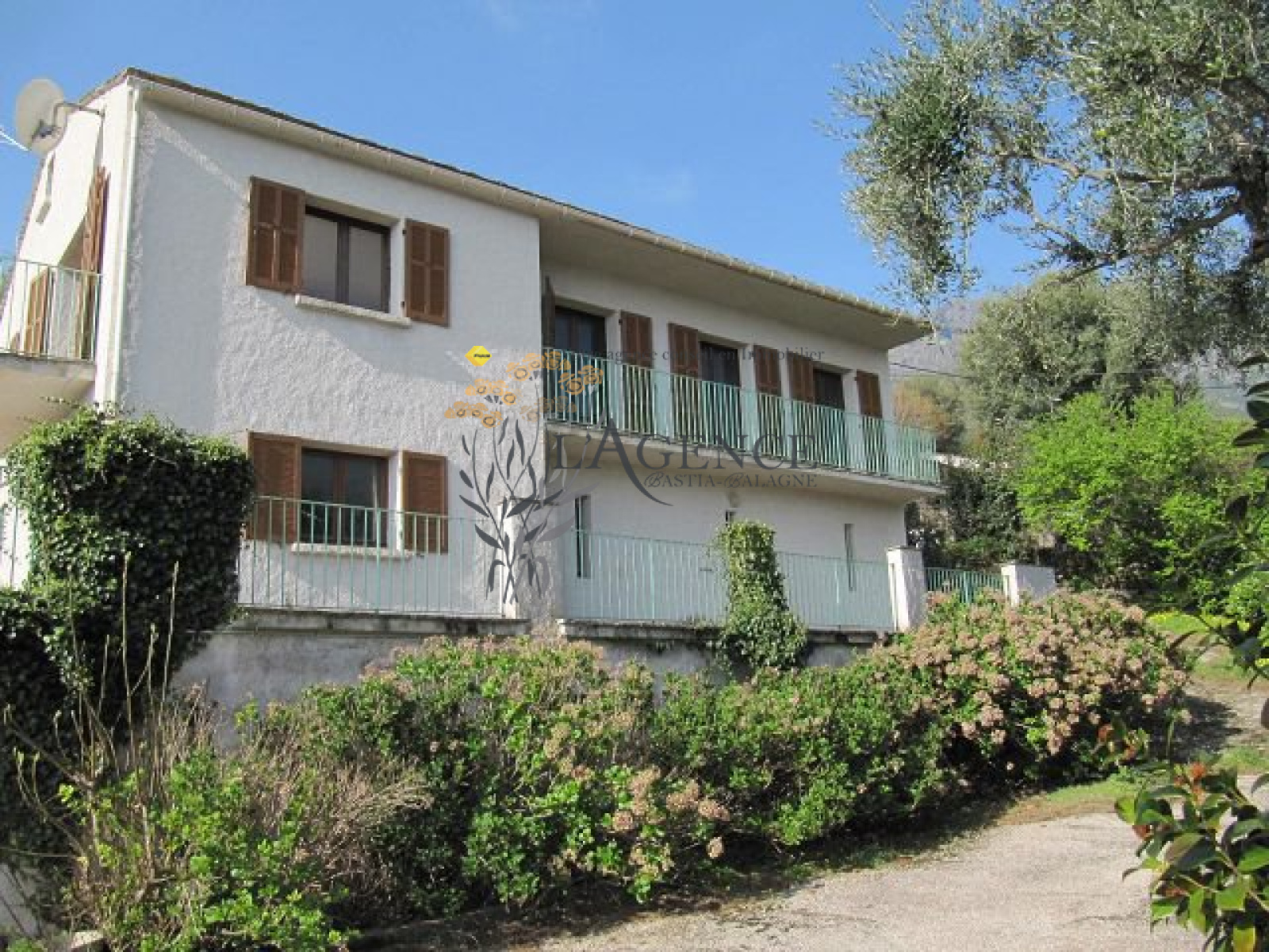 Image_, Appartement, Brando, ref :1806284