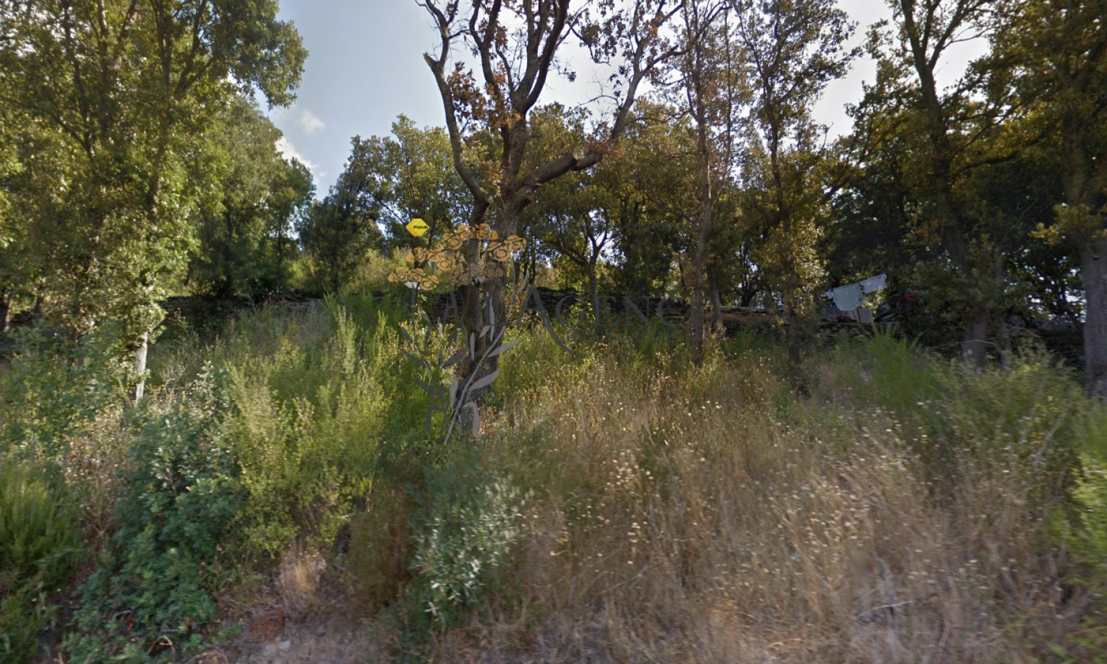 Image_, Terrain, Santa-Maria-di-Lota, ref :3275