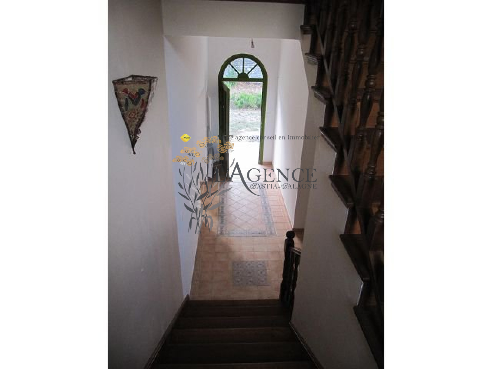 Image_, Appartement, Omessa, ref :1806345