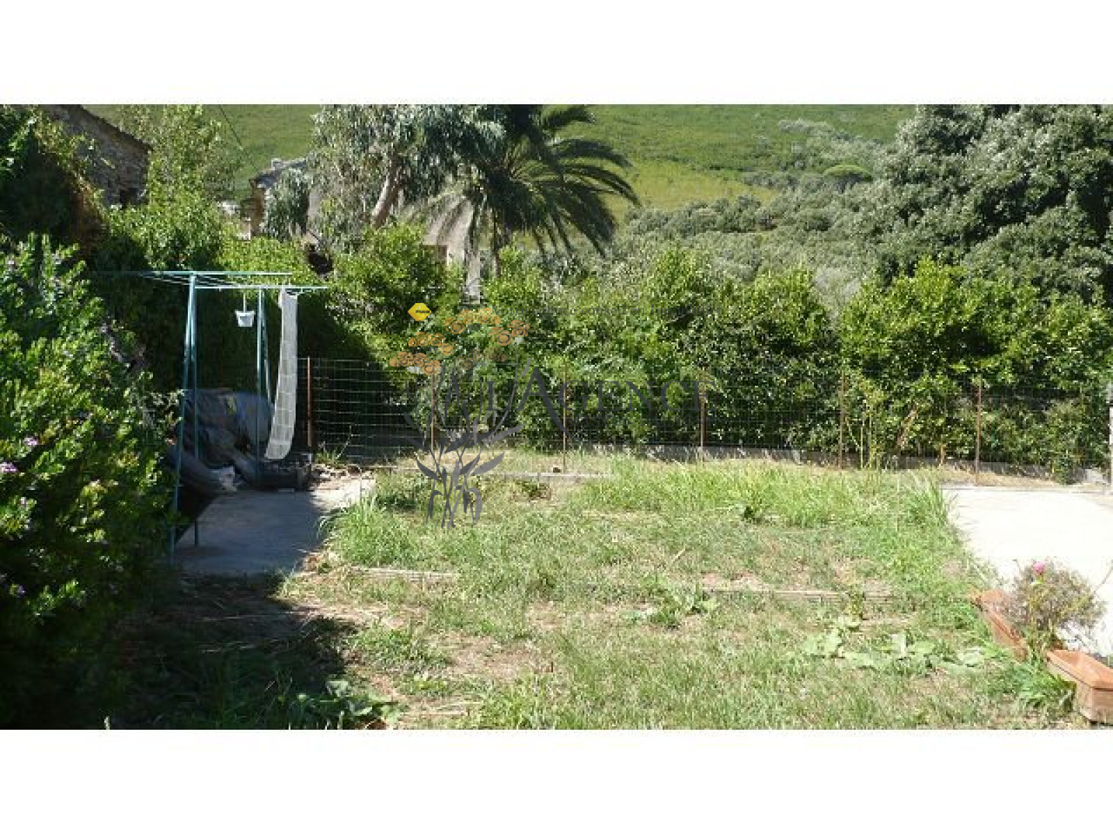 Image_, Appartement, Sisco, ref :1806361