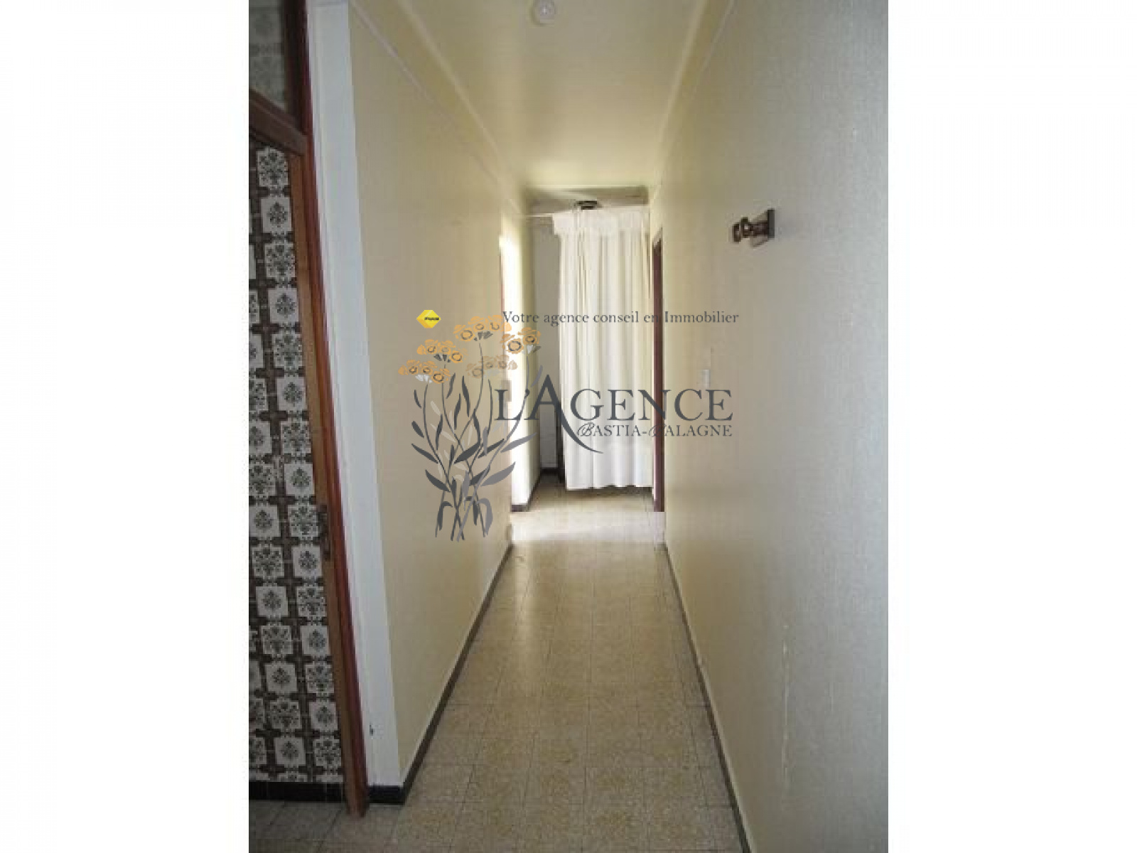 Image_, Appartement, San-Lorenzo, ref :1806338
