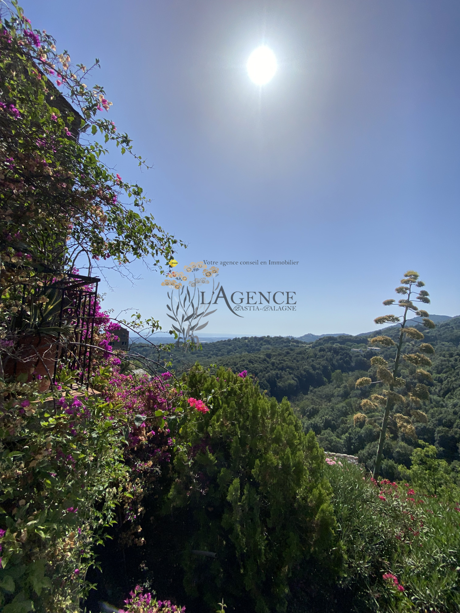Image_, Villa, Venzolasca, ref :2835