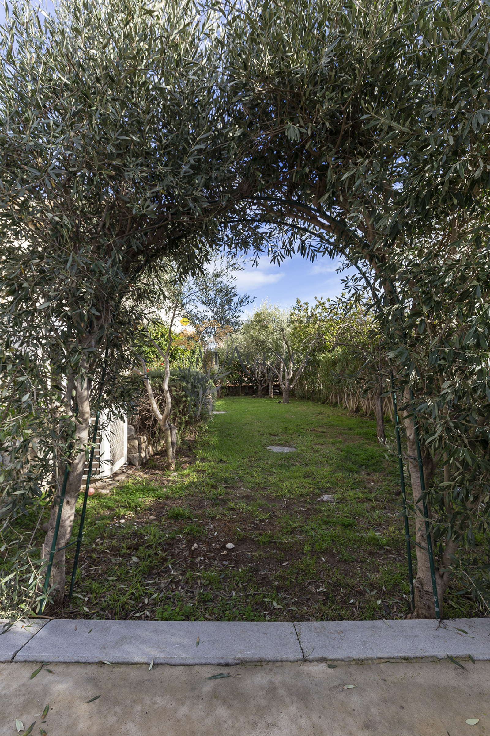 Image_, Maison, Lucciana, ref :3285