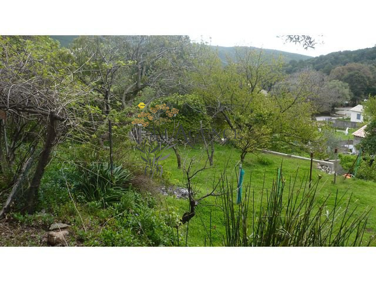 Image_, Appartement, Pietracorbara, ref :1806319