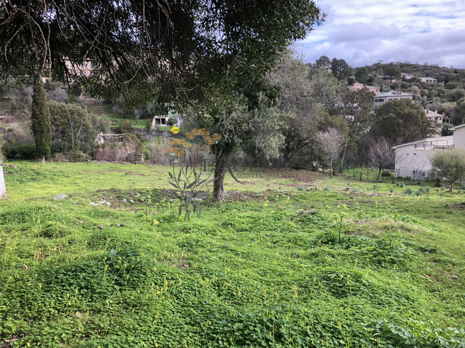 Image_, Terrain, Brando, ref :1017907