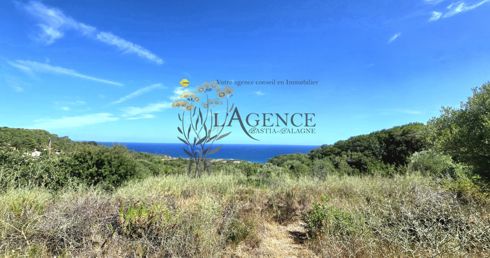 Image_, Terrain, Corbara, ref :3231