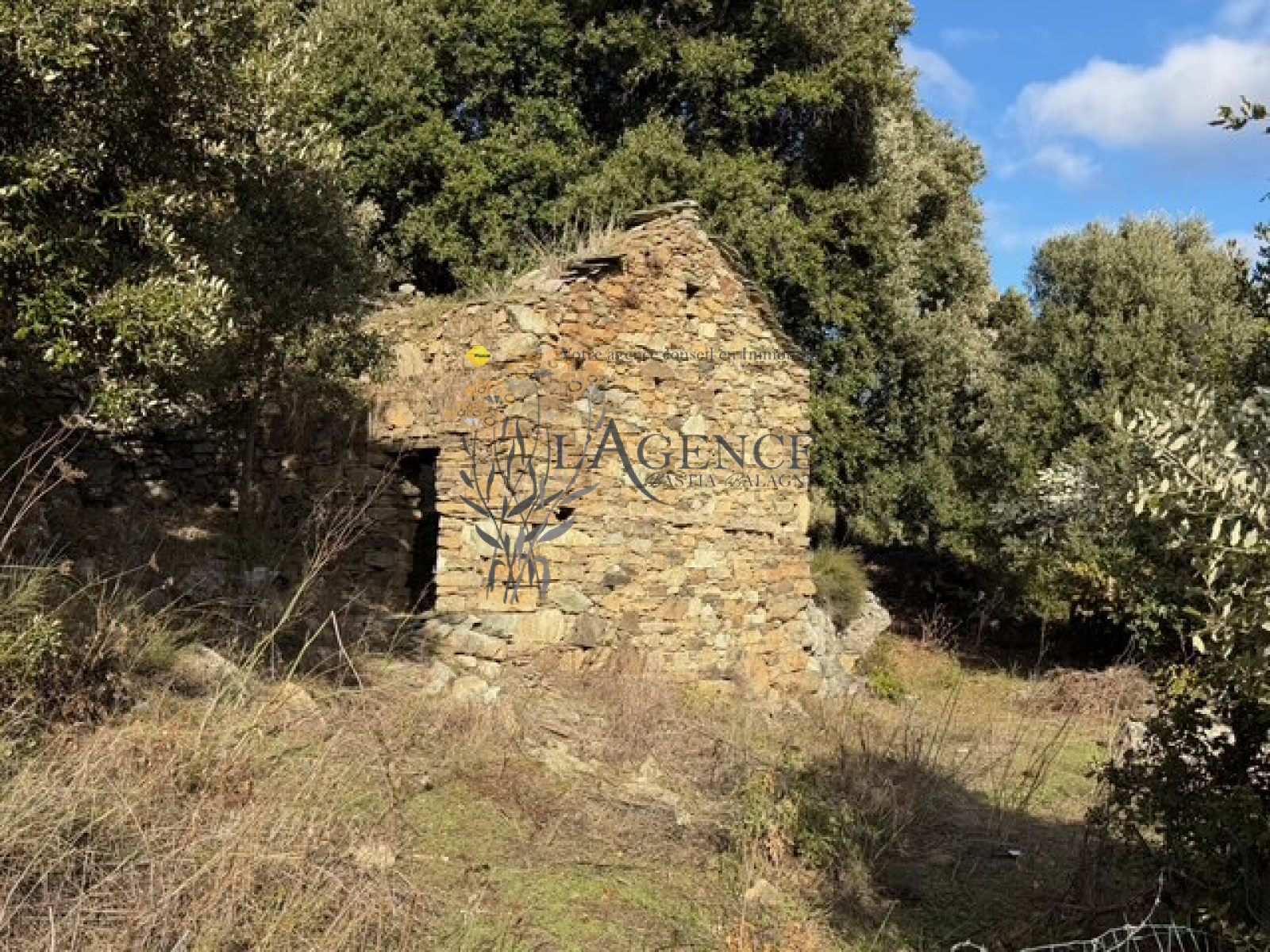 Image_, Maison, Murato, ref :3287