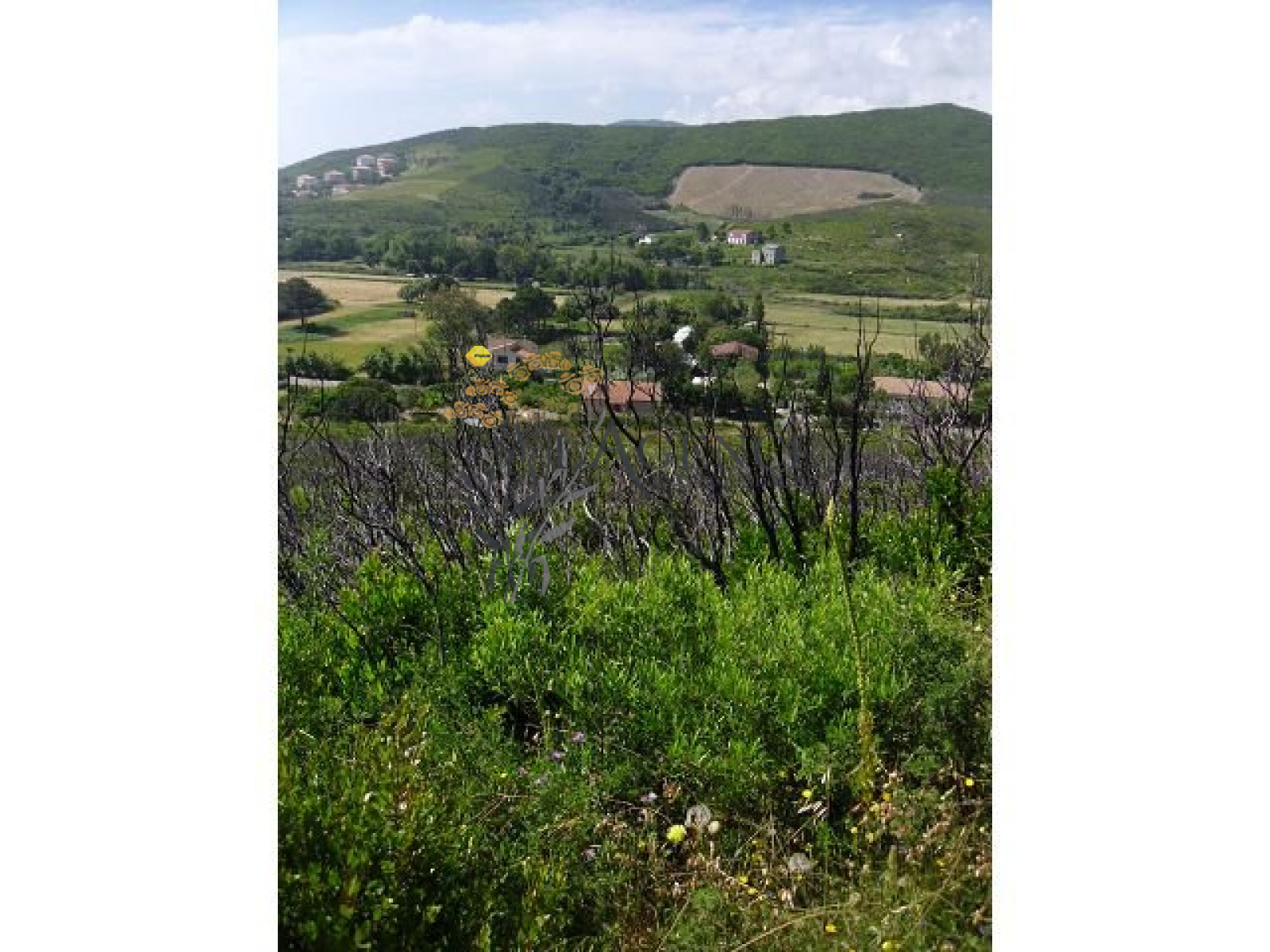 Image_, Appartement, Luri, ref :1806168