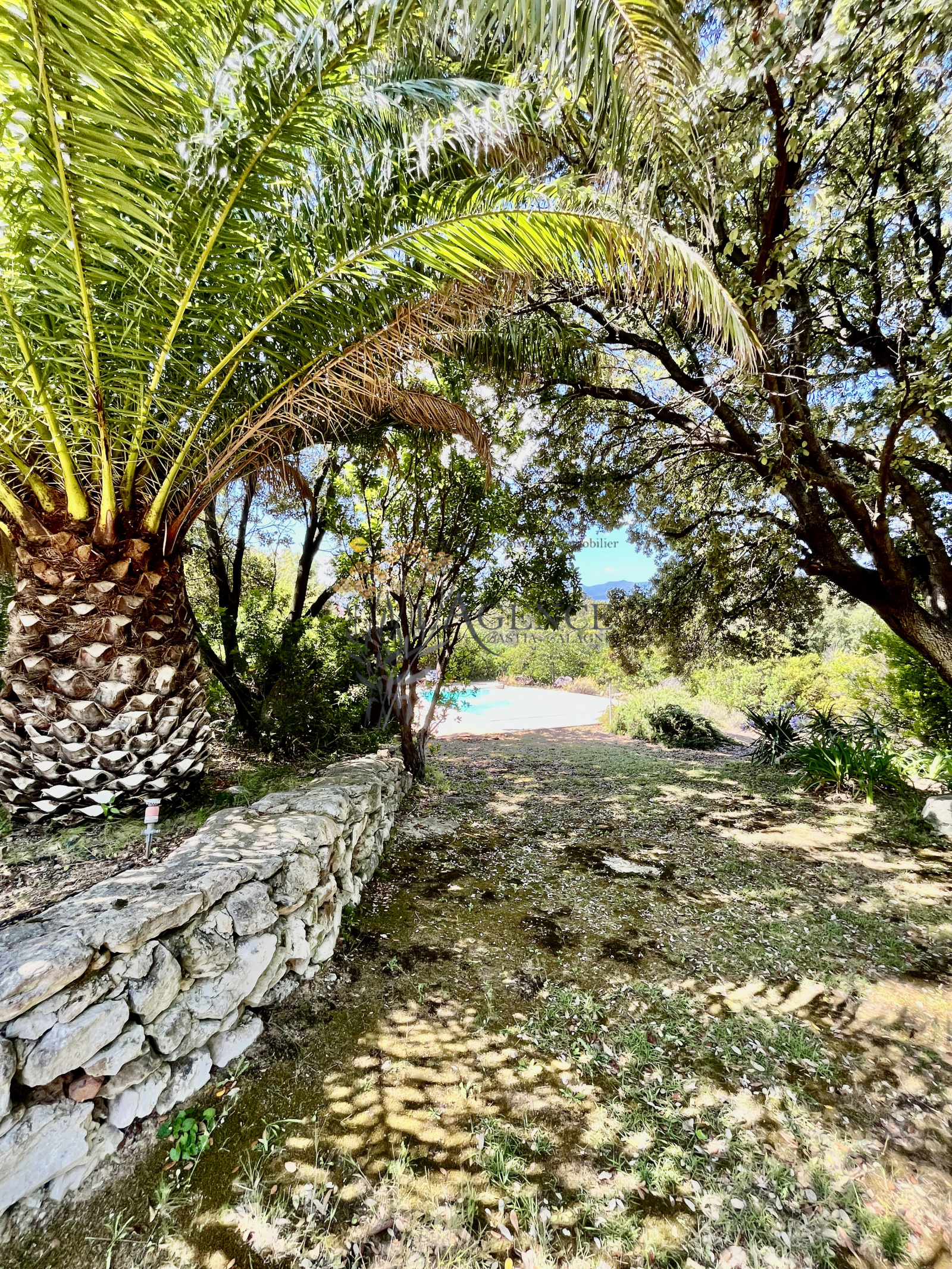 Image_, Villa, Saint-Florent, ref :2785