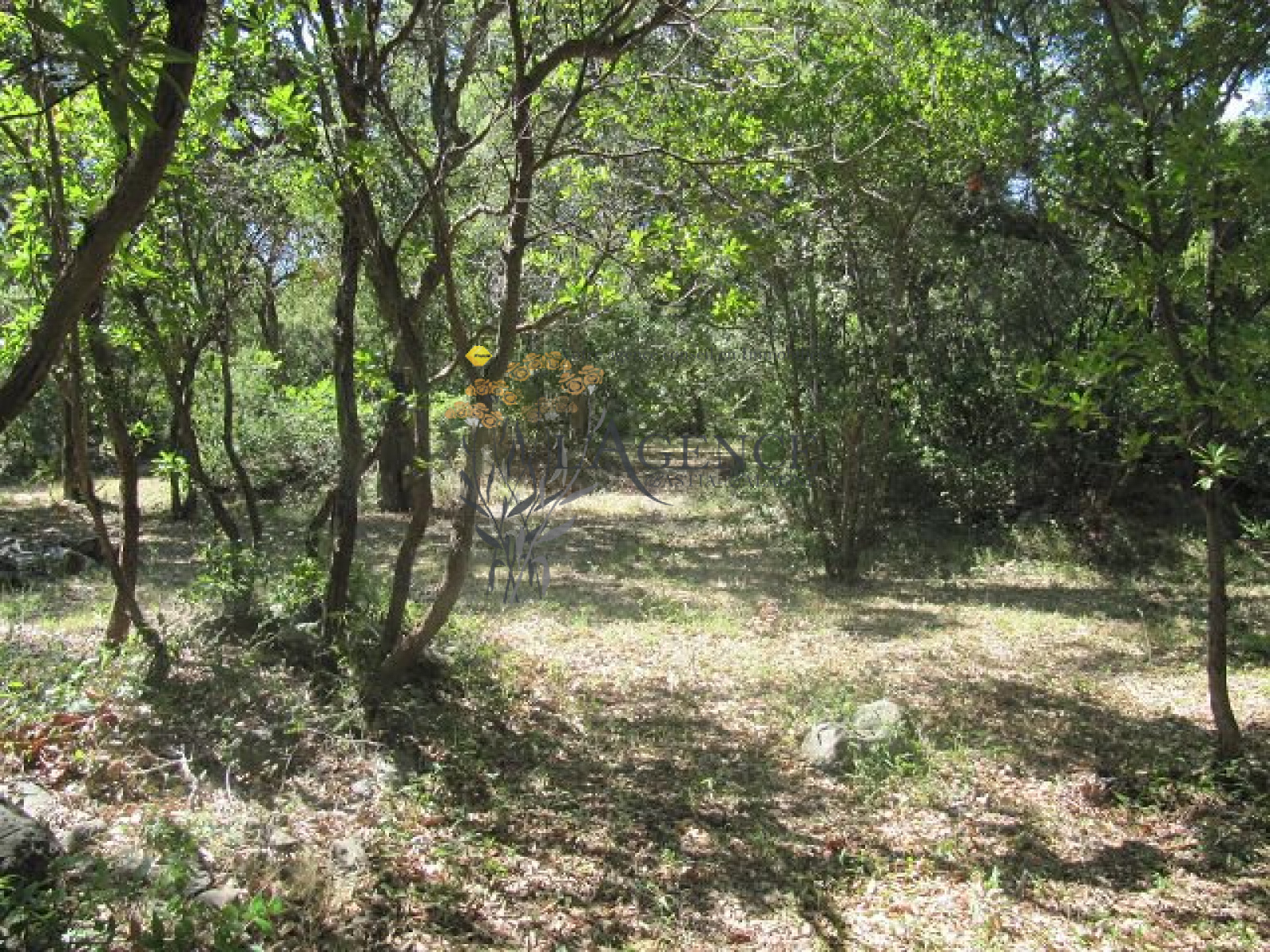 Image_, Appartement, Pietracorbara, ref :1806255