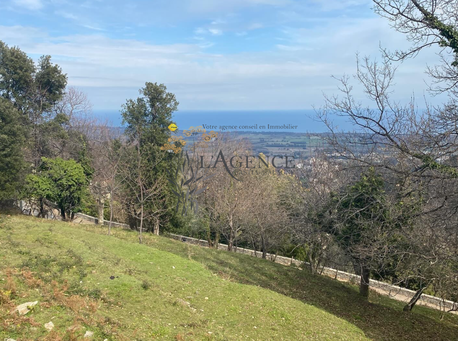 Image_, Terrain, Penta-di-Casinca, ref :MM10