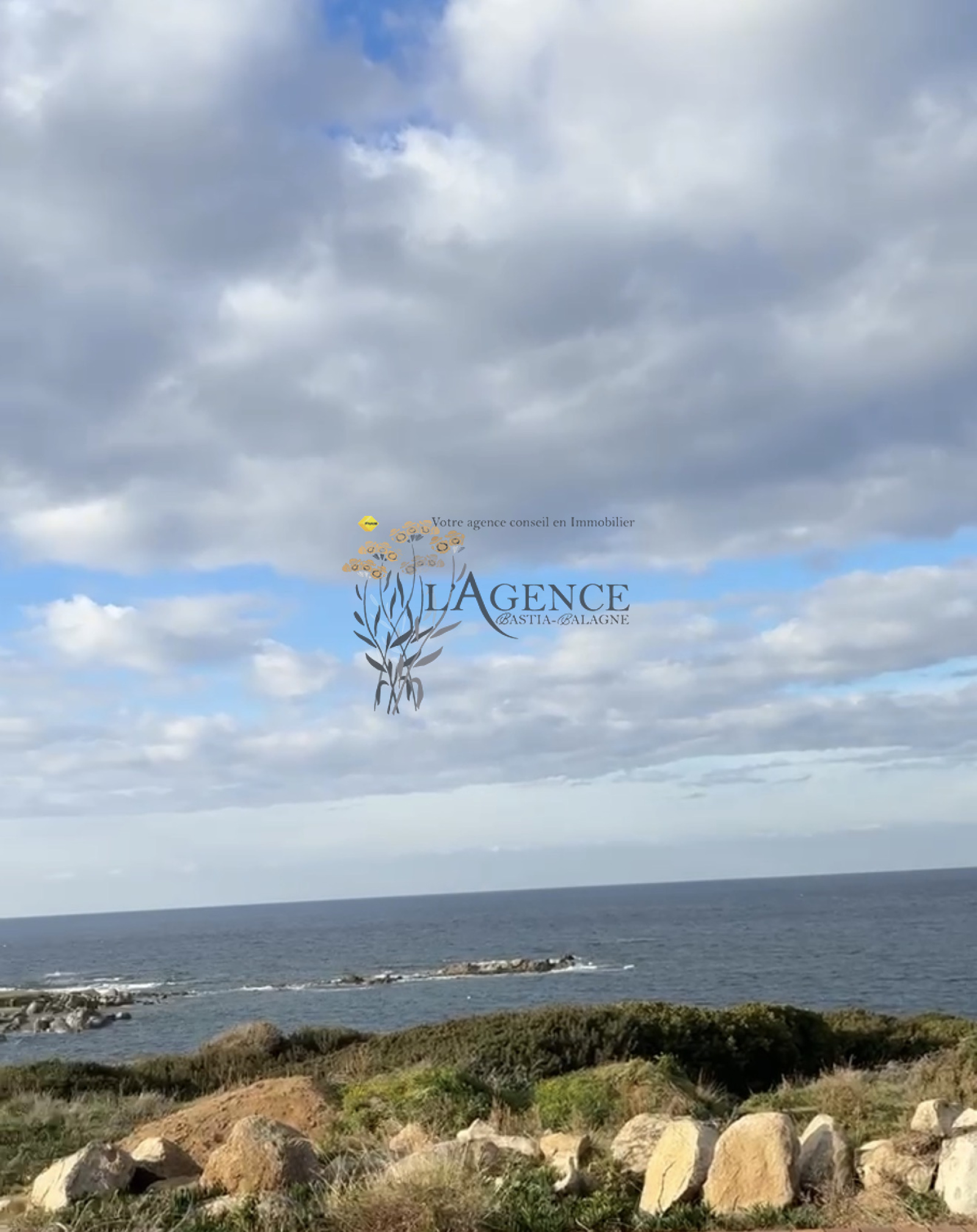 Image_, Maison, Corbara, ref :MM-OFF