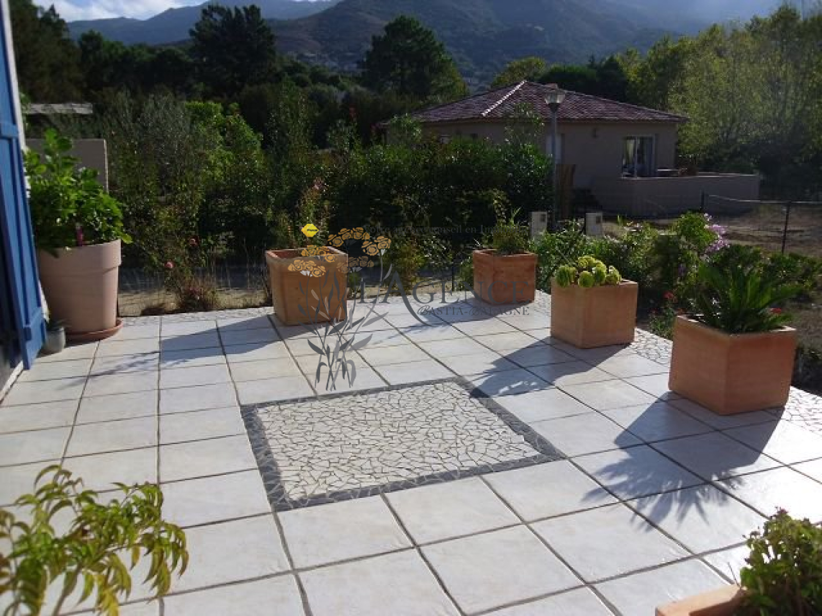 Image_, Appartement, Patrimonio, ref :1806027