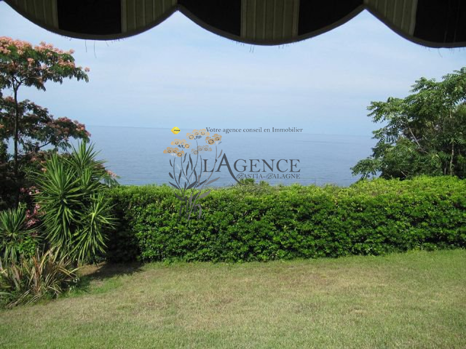 Image_, Appartement, San-Martino-di-Lota, ref :1806246