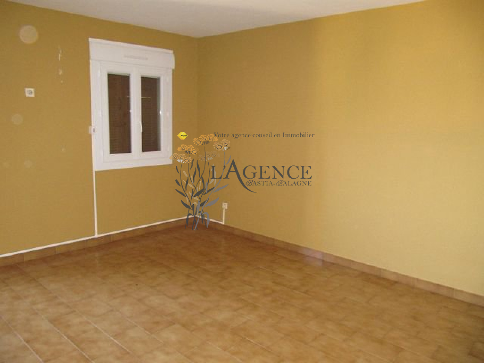 Image_, Appartement, , ref :1805939