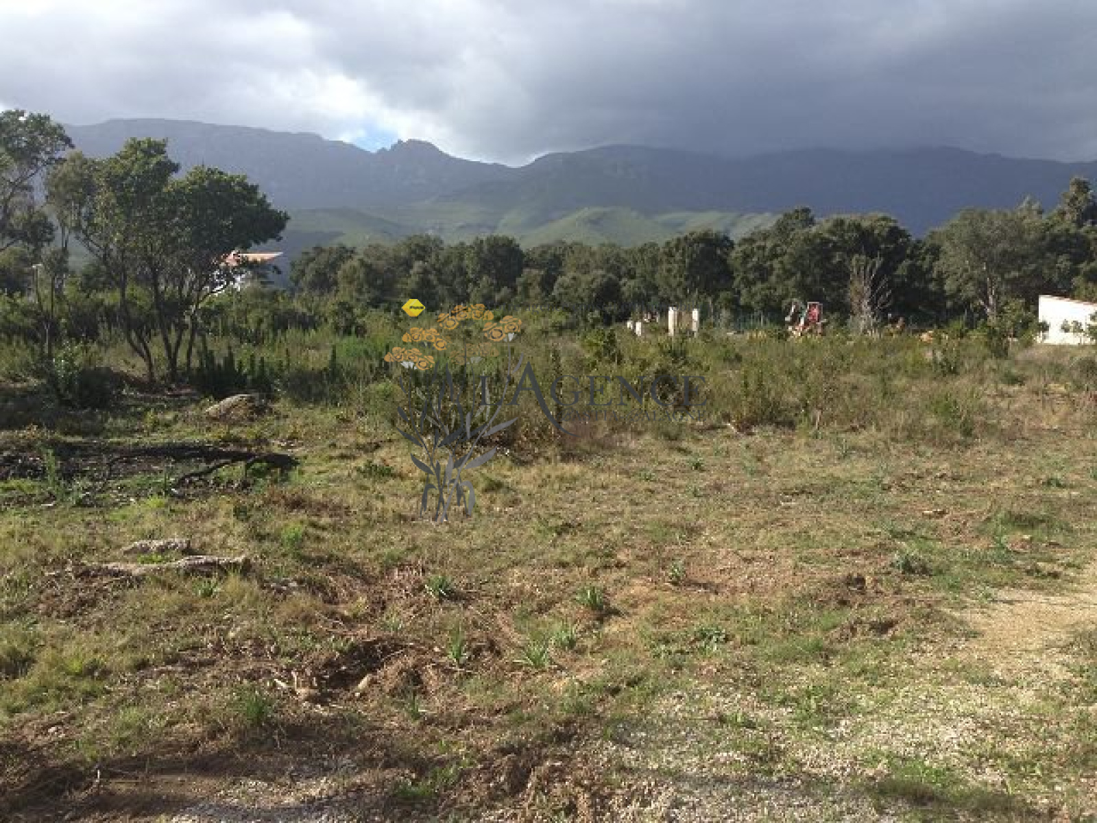 Image_, Appartement, Pietracorbara, ref :1806051