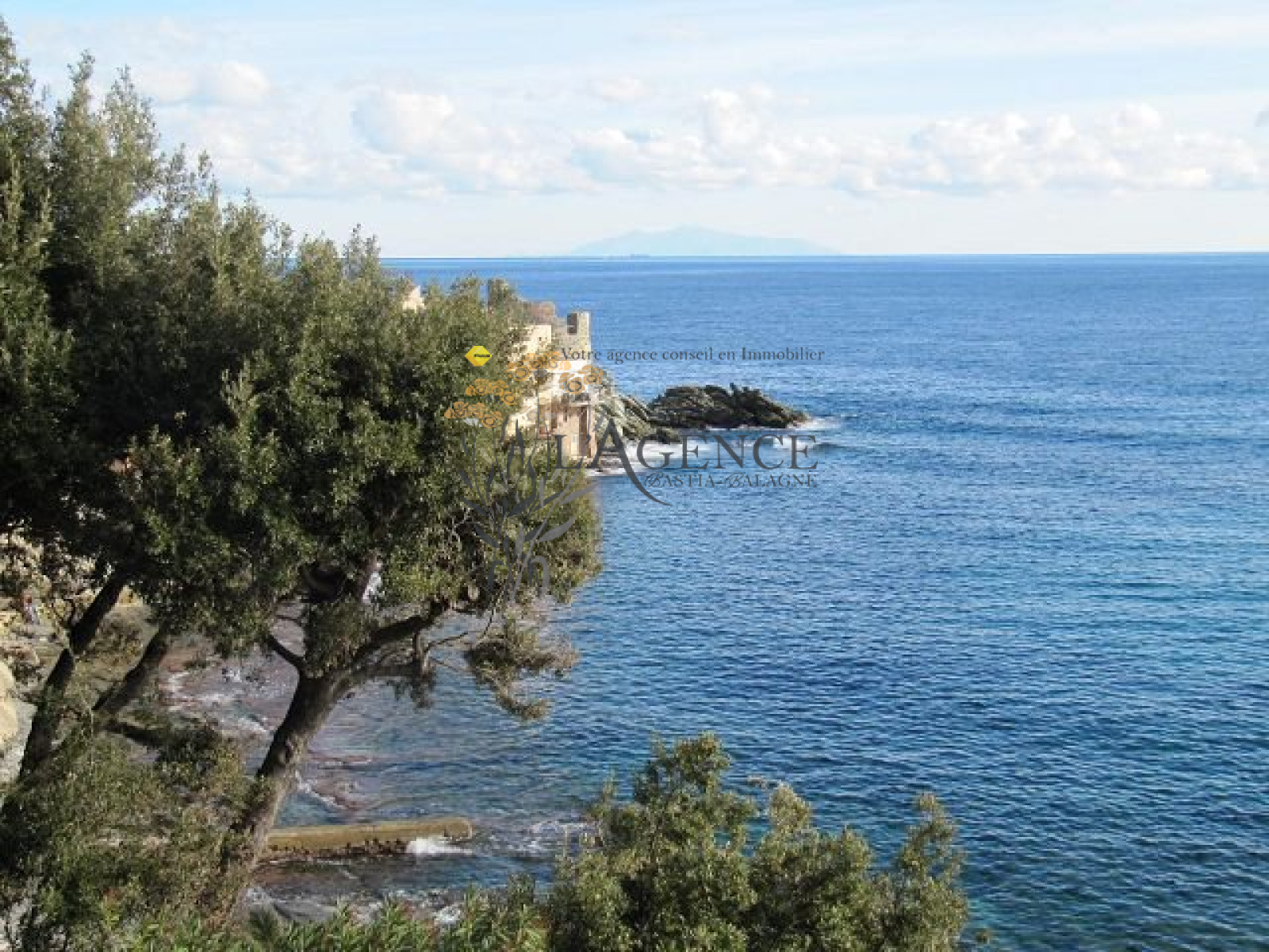 Image_, Appartement, Brando, ref :1806228