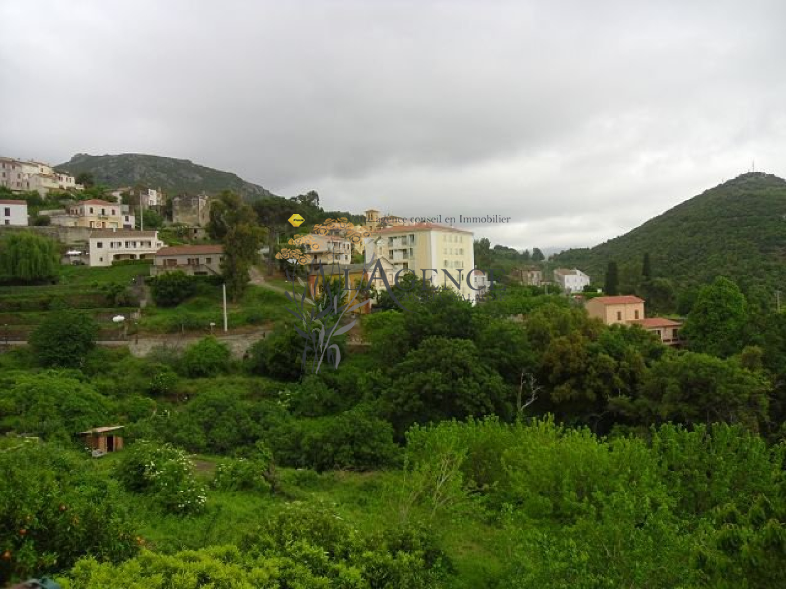 Image_, Appartement, Oletta, ref :1806137