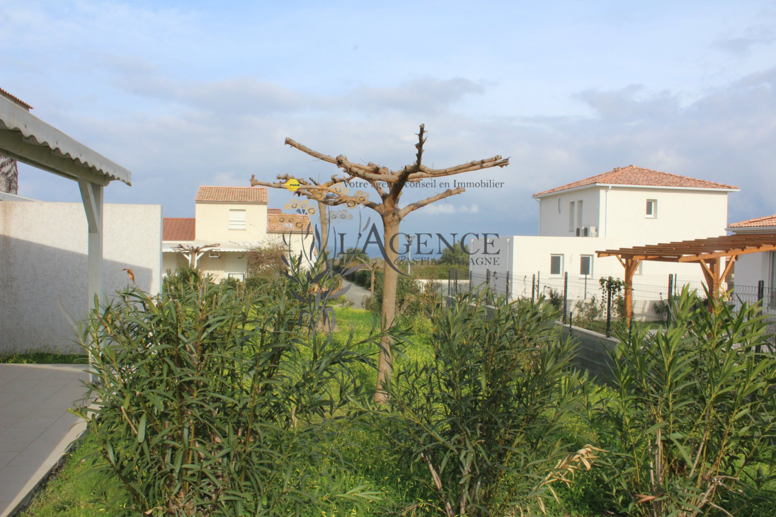 Image_, Maison, Cervione, ref :2882634